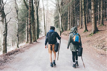 simsearch:649-08949542,k - Rear view of hiking couple hiking along forest road, Monte San Primo, Italy Photographie de stock - Premium Libres de Droits, Code: 649-08949552