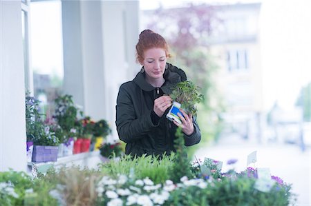 picture of a black woman at the grocery store - Florist working with potted plants Stock Photo - Premium Royalty-Free, Code: 649-08950325