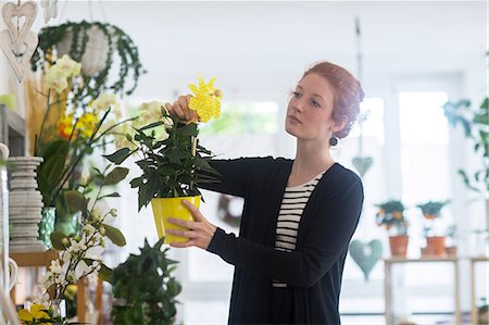 picture of a black woman at the grocery store - Florist selecting flowers in shop Stock Photo - Premium Royalty-Free, Code: 649-08950335