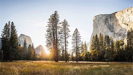 Meadow and rock formations at sunset, Yosemite National Park, California, USA Foto de stock - Sin royalties Premium, Código: 649-08950362