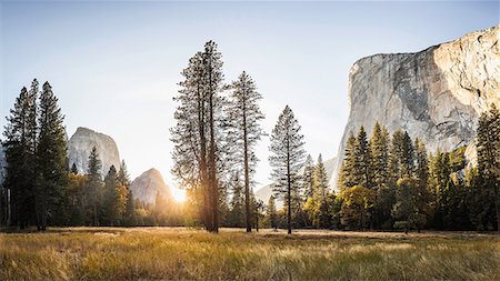 Meadow and rock formations at sunset, Yosemite National Park, California, USA Stock Photo - Premium Royalty-Free, Code: 649-08950362