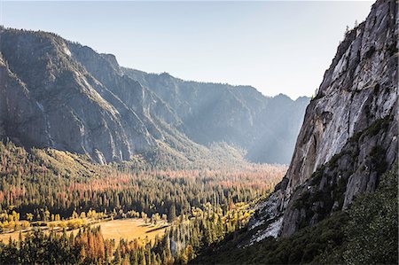 parque nacional de yosemite - Elevated view of valley forest, Yosemite National Park, California, USA Foto de stock - Sin royalties Premium, Código: 649-08950371