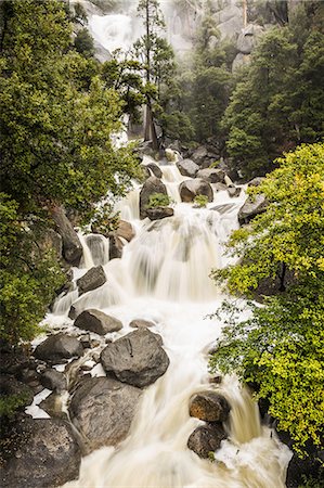 simsearch:649-08085945,k - Rocky forest waterfall, Yosemite National Park, California, USA Photographie de stock - Premium Libres de Droits, Code: 649-08950384