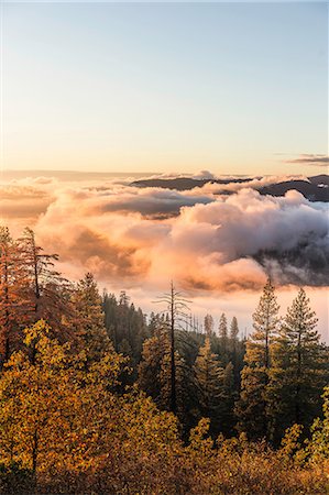 Elevated view of mist over valley forest at sunrise, Yosemite National Park, California, USA Stock Photo - Premium Royalty-Free, Code: 649-08950388