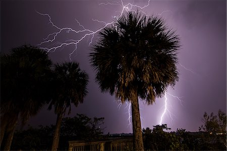 electrical storm - Lightning strikes behind palm trees at Merritt Island, viewed from the State Road 520 Causeway bridge crossing Indian River Lagoon, Florida Stock Photo - Premium Royalty-Free, Code: 649-08950394