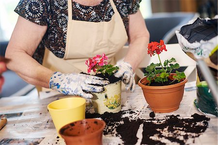 simsearch:400-08252596,k - Senior adult woman potting plants on table Photographie de stock - Premium Libres de Droits, Code: 649-08968902