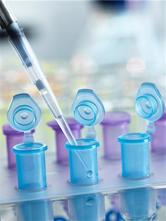 simsearch:649-08565301,k - Pipetting sample into vial for testing in the laboratory Photographie de stock - Premium Libres de Droits, Code: 649-08968928