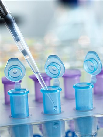 simsearch:649-07710333,k - Pipetting sample into vial for testing in the laboratory Foto de stock - Sin royalties Premium, Código: 649-08968928