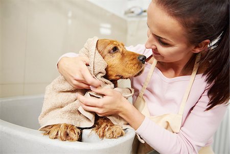 Female groomer and cocker spaniel gazing at each other at dog grooming salon Stock Photo - Premium Royalty-Free, Code: 649-08969164