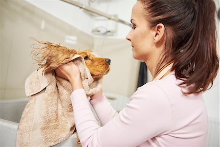 dog with people - Female groomer towel drying head of cocker spaniel at dog grooming salon Foto de stock - Sin royalties Premium, Código: 649-08969161