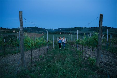 simsearch:649-08969252,k - Tourists in vineyard, Tuscany, Italy Foto de stock - Sin royalties Premium, Código: 649-08969262