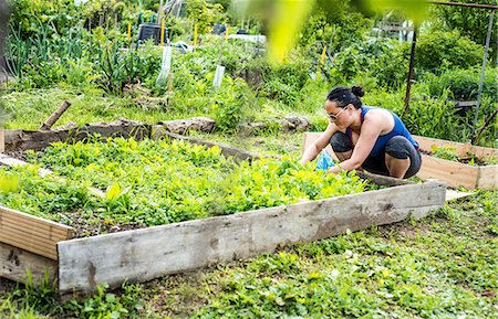 simsearch:649-09208838,k - Woman at allotment Stock Photo - Premium Royalty-Free, Code: 649-08969366
