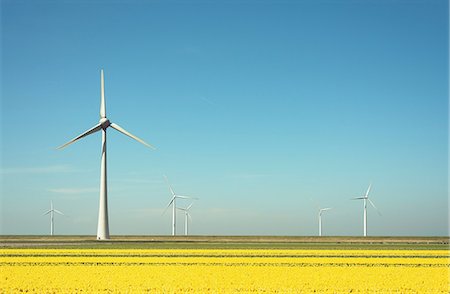 simsearch:649-09258436,k - Wind turbines in field landscape of yellow flowers Photographie de stock - Premium Libres de Droits, Code: 649-08969543