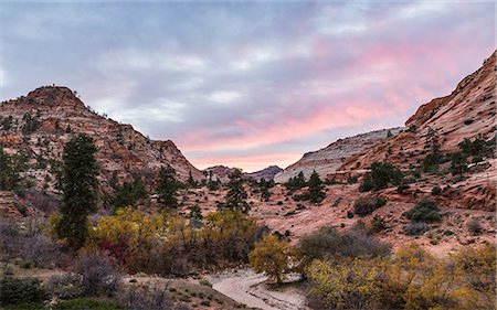 parque nacional zion - Scenic view, Zion National Park, Springdale, Utah, USA Foto de stock - Sin royalties Premium, Código: 649-08969646