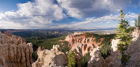 parque nacional de bryce canion - Bryce Canyon, Utah, USA Foto de stock - Royalty Free Premium, Número: 649-09004194