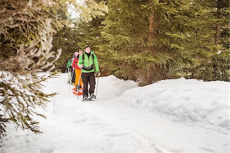 simsearch:649-09004400,k - Cross country skiers in trees Stock Photo - Premium Royalty-Free, Code: 649-09004394