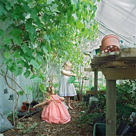 Little girls watering plants greenhouse Stock Photo - Premium Royalty-Free, Code: 649-09002493