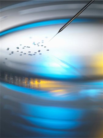 simsearch:649-09003664,k - Micro pipette injecting cells in dish Photographie de stock - Premium Libres de Droits, Code: 649-09003068