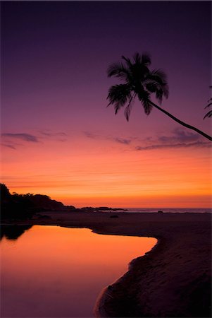 simsearch:400-07661392,k - Silhouette of palm tree in sunset sky Photographie de stock - Premium Libres de Droits, Code: 649-09003797