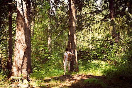 simsearch:614-08983572,k - Rear view of young male hiker hiking through forest Foto de stock - Sin royalties Premium, Código: 649-09016616