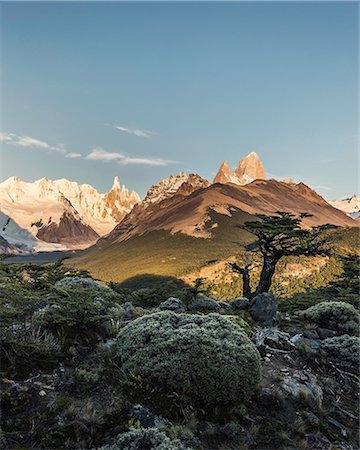 simsearch:649-08714241,k - Distant view of Cerro Torre and Fitz Roy mountain ranges, Los Glaciares National Park, Patagonia, Argentina Photographie de stock - Premium Libres de Droits, Code: 649-09016734