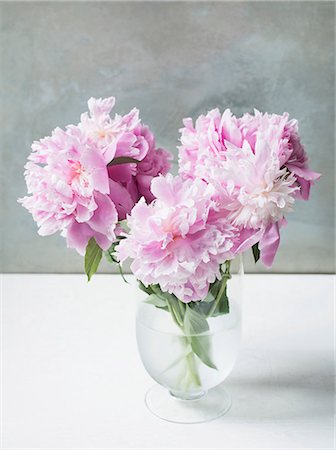 peonies vase - Vase of pink peonies on table Stock Photo - Premium Royalty-Free, Code: 649-09025400