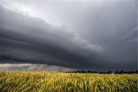 Layered supercell storm over and around wheat fields, Fairview, Oklahoma, USA Stock Photo - Premium Royalty-Free, Code: 649-09025843