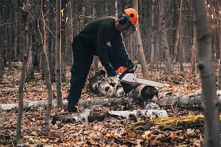 simsearch:649-07648463,k - Mature man chainsawing tree trunk on autumn forest floor Foto de stock - Sin royalties Premium, Código: 649-09026017