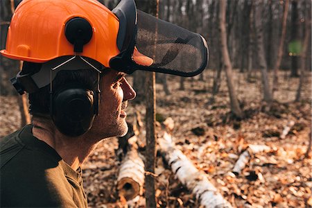 simsearch:400-06520162,k - Portrait of male logger in orange hard hat gazing in sunlit autumn forest Stock Photo - Premium Royalty-Free, Code: 649-09026019