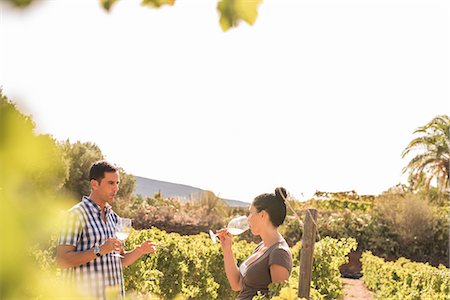 Winemaking tasting white wine in vineyard, Las Palmas, Gran Canaria, Spain Stockbilder - Premium RF Lizenzfrei, Bildnummer: 649-09026259