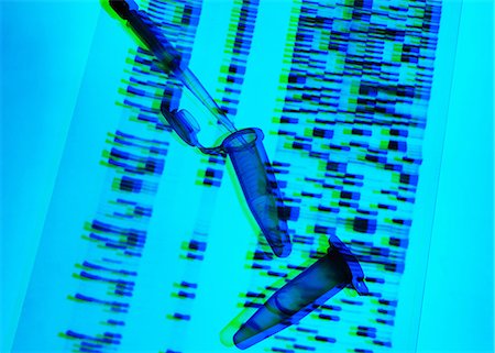 sequenced - Genetic research, pipette and DNA samples on DNA autoradiogram illustrating research into life sciences and genetic modification Stock Photo - Premium Royalty-Free, Code: 649-09035417