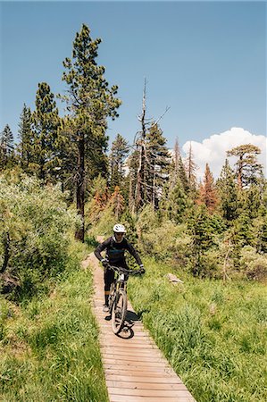 simsearch:6129-09044681,k - Man cycling on path through forest, Mammoth Lakes, California, USA, North America Photographie de stock - Premium Libres de Droits, Code: 649-09035969