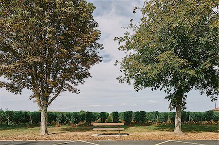 Park bench in front of vineyard, Bergerac, Aquitaine, France Stock Photo - Premium Royalty-Free, Code: 649-09036035