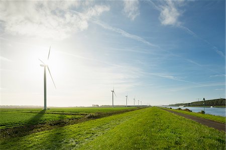 rilland - Wind turbines early in the morning, Rilland, Zeeland, Netherlands, Europe Stock Photo - Premium Royalty-Free, Code: 649-09036435