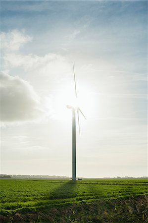 rilland - Wind turbines early in the morning, Rilland, Zeeland, Netherlands, Europe Stock Photo - Premium Royalty-Free, Code: 649-09036436