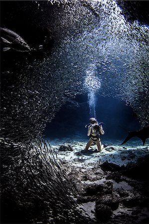 submarinista (mujer) - Diver photographing sealife Foto de stock - Sin royalties Premium, Código: 649-09061633