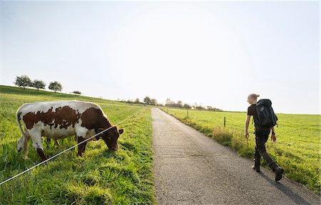 Hiker passing cow, Meerfeld, Rheinland-Pfalz, Germany Stock Photo - Premium Royalty-Free, Code: 649-09061743