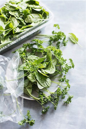 simsearch:6108-05865420,k - Spinach leaves and parsley on ceramic plate Stock Photo - Premium Royalty-Free, Code: 649-09111283