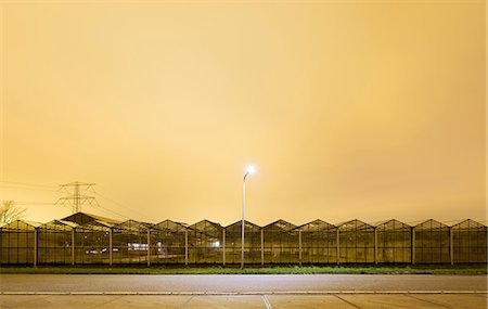 simsearch:649-08565806,k - Greenhouse at night, in Westland,  area with the highest concentration of greenhouses in Netherlands Photographie de stock - Premium Libres de Droits, Code: 649-09123364