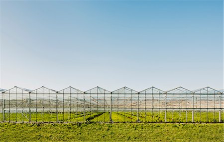 Greenhouse in Westland,  area with the highest concentration of greenhouses in Netherlands Foto de stock - Sin royalties Premium, Código: 649-09123365