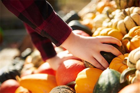 simsearch:649-09123591,k - Boy selecting vegetable squashes from stall, detail of hand Stockbilder - Premium RF Lizenzfrei, Bildnummer: 649-09123602