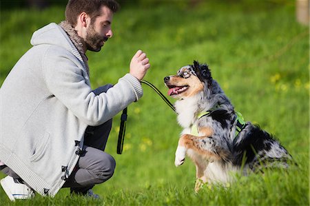 simsearch:649-08125927,k - Man training dog to sit in park Photographie de stock - Premium Libres de Droits, Code: 649-09123626