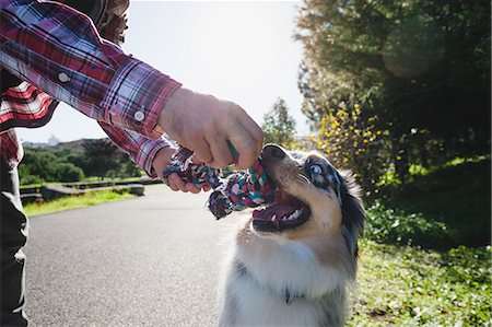 discipliner - Man and dog playing with rope in park, cropped Foto de stock - Sin royalties Premium, Código: 649-09123629