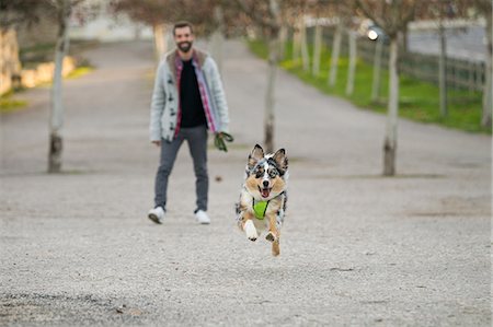 simsearch:649-08840788,k - Dog running in park ahead of male owner Foto de stock - Sin royalties Premium, Código: 649-09123622