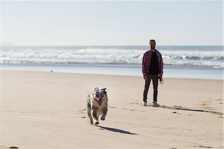 simsearch:649-08840788,k - Man watching his dog run on beach Foto de stock - Sin royalties Premium, Código: 649-09123633