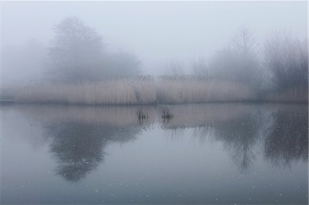 reeds water - Scenic view of lake with mist, Houghton-le-Spring, Sunderland, UK Stock Photo - Premium Royalty-Free, Code: 649-09123830