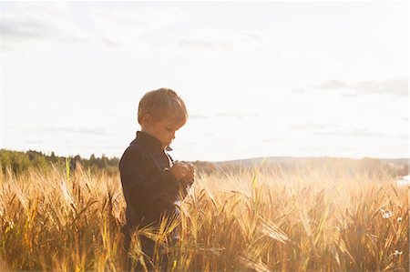 simsearch:649-08661387,k - Boy in wheat field examining wheat, Lohja, Finland Fotografie stock - Premium Royalty-Free, Codice: 649-09138982