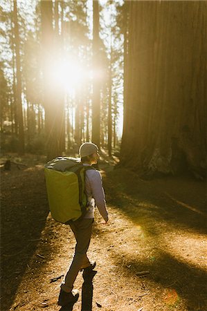 simsearch:649-09158991,k - Hiker hiking among sequoia trees, Sequoia National Park, California, USA Stockbilder - Premium RF Lizenzfrei, Bildnummer: 649-09158977