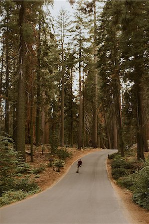 simsearch:649-09158991,k - Skateboarder skateboarding on sequoia tree lined road, Sequoia National Park, California, USA Stockbilder - Premium RF Lizenzfrei, Bildnummer: 649-09158987