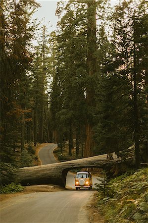 séquoia - Man driving camper van under fallen sequoia tree, Sequoia National Park, California, USA Photographie de stock - Premium Libres de Droits, Code: 649-09158992